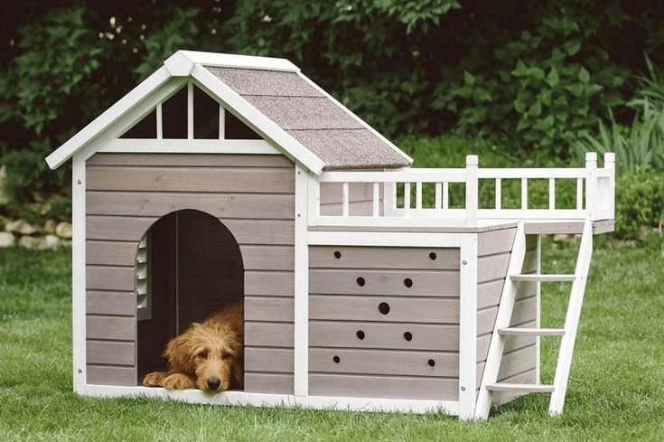 Garden for pet house and lounge space made from leftover WPC deck materials