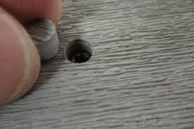 Color matched cap for deck screws
